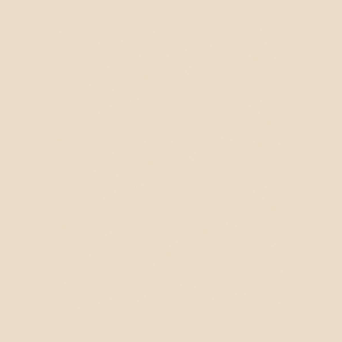 Remmers Deckfarbe Hellelfenbein RAL 1015